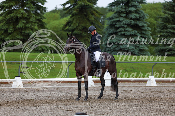 2025 - Dressage Festival - Sunday July 6th - 01887