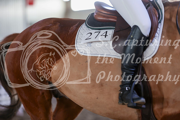 2025 - HJ Schooling - Sunday March 23rd - 3880