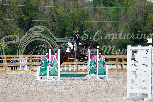 2025 - Haylee - Picco Horse Show - Saturday July 26th 05689