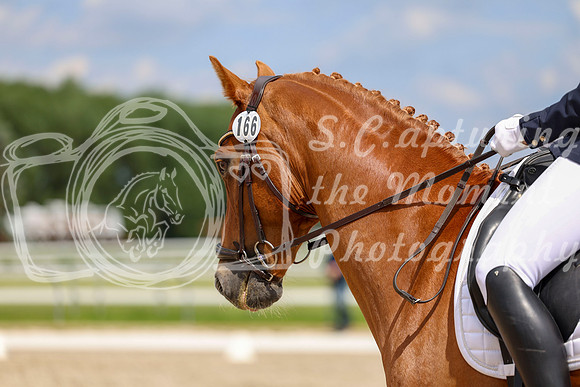 2025 - Dressage Festival - Saturday July 5th - 12439
