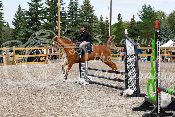 2025 - Haylee - Picco Horse Show - Saturday July 26th 02335