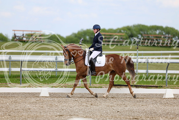2025 - Dressage Festival - Saturday July 5th - 11833
