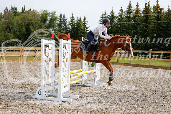 2025 - Haylee - Picco Horse Show - Friay July 25th 00914