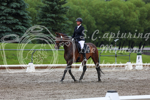 2025 - Dressage Festival - Sunday July 6th - 09037