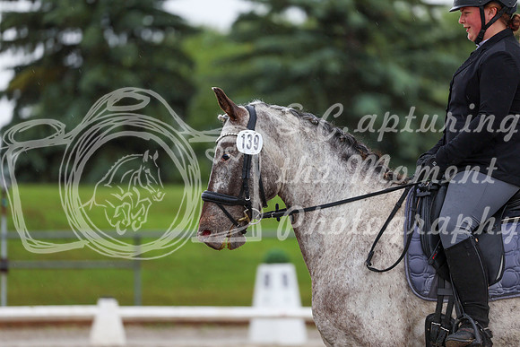 2025 - Dressage Festival - Sunday July 6th - 02300