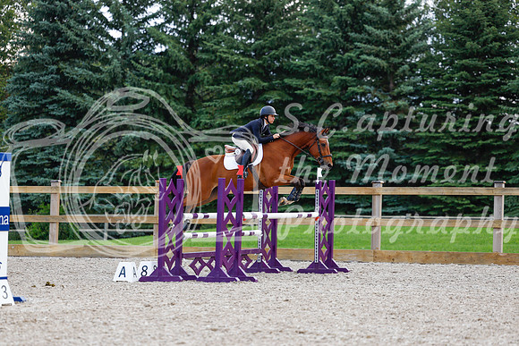 2025 - Haylee - Picco Horse Show - Sunday July 27th 04885