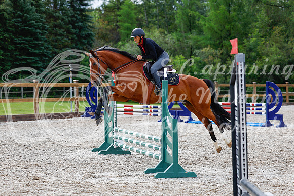 2025 - Haylee - Picco Horse Show - Friay July 25th 00635