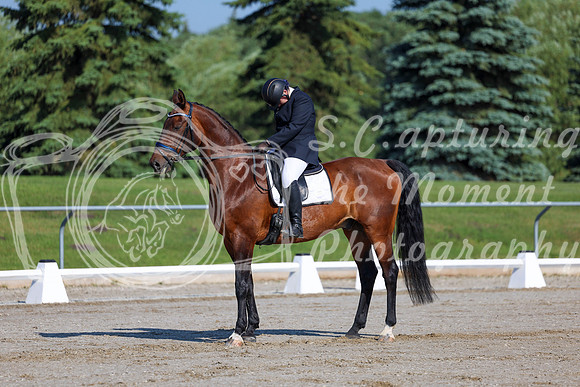2025 - Dressage Festival - Saturday July 5th - 00979