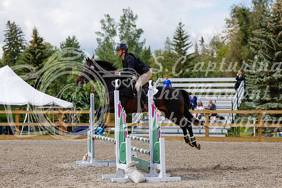 2025 - Haylee - Picco Horse Show - Sunday July 27th 03391
