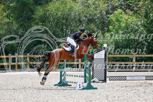 2025 - Haylee - Picco Horse Show - Sunday July 27th 03937