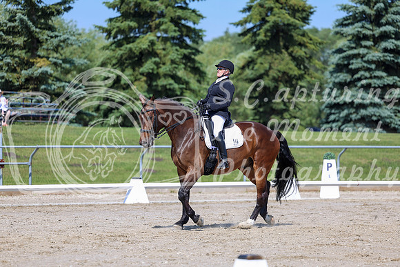 2025 - Dressage Festival - Saturday July 5th - 05278