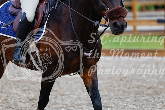 2025 - Haylee - Picco Horse Show - Friay July 25th 00465