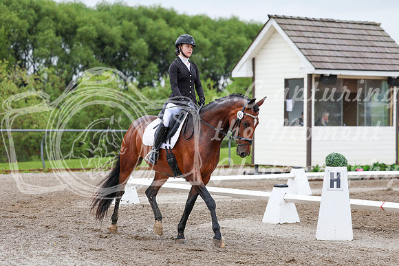 2025 - Dressage Festival - Sunday July 6th - 00820