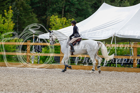 2025 - Haylee - Picco Horse Show - Friay July 25th 03735
