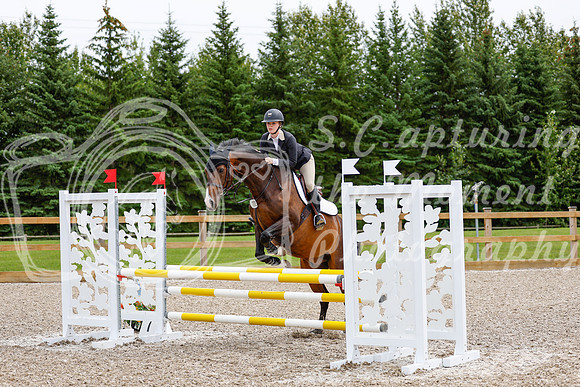 2025 - Haylee - Picco Horse Show - Friay July 25th 02483
