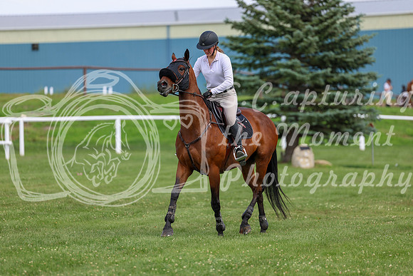 2025 - Shea - Teesdale - Thursday July 24th - 03652