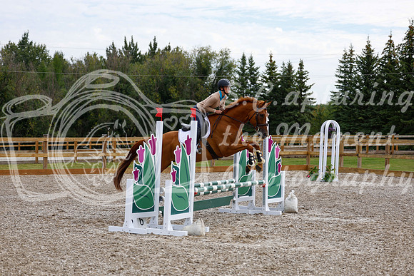 2025 - Haylee - Picco Horse Show - Saturday July 26th 01620
