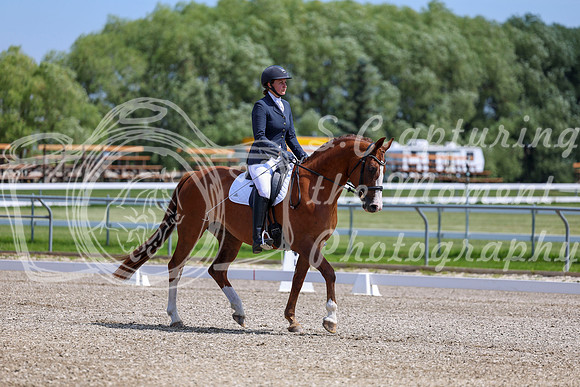 2025 - Dressage Festival - Saturday July 5th - 06368