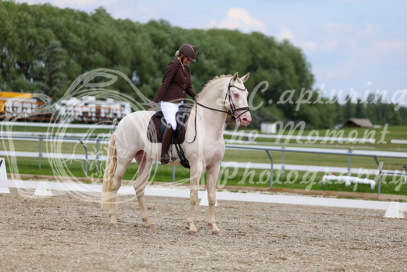 2025 - Dressage Festival - Saturday July 5th - 12089