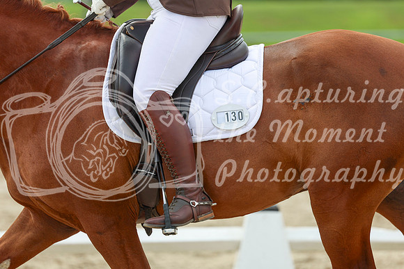 2025 - Dressage Festival - Saturday July 5th - 14098