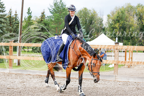 2025 - Haylee - Picco Horse Show - Saturday July 26th 09601