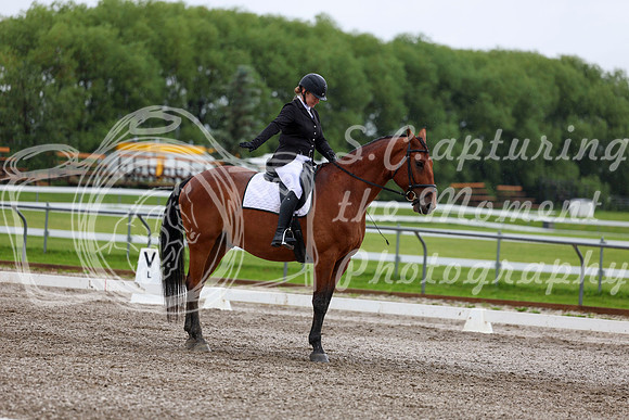 2025 - Dressage Festival - Sunday July 6th - 05005