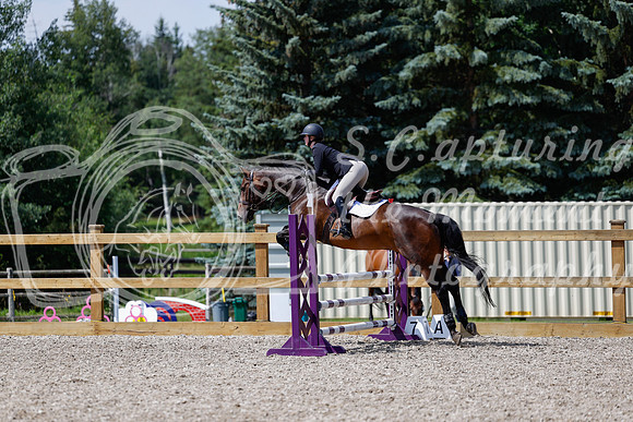 2025 - Haylee - Picco Horse Show - Thursday July 24th 02514