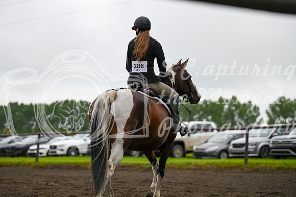 2025 - MJ - Teesdale - Saturday July 26th - 05739