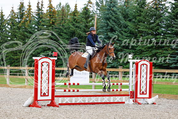 2025 - Haylee - Picco Horse Show - Saturday July 26th 05531