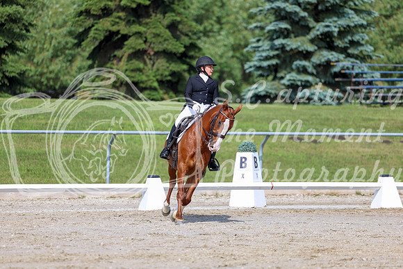 2025 - Dressage Festival - Saturday July 5th - 02667