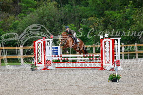 2025 - Haylee - Picco Horse Show - Sunday July 27th 03643