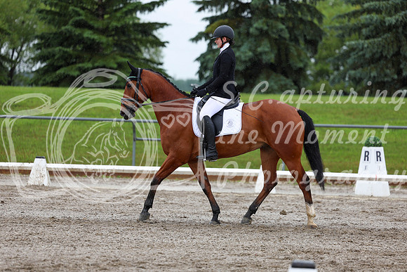 2025 - Dressage Festival - Sunday July 6th - 07323