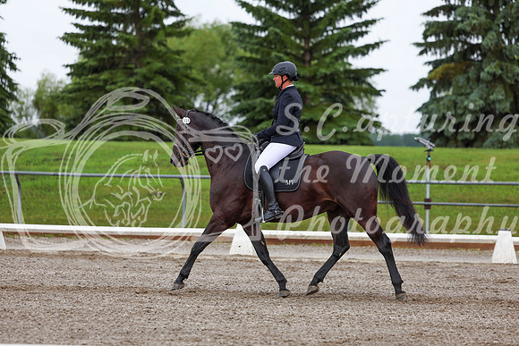 2025 - Dressage Festival - Sunday July 6th - 01897