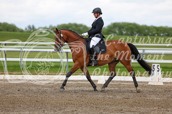 2025 - Dressage Festival - Sunday July 6th - 11719