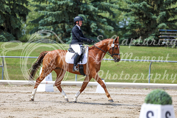 2025 - Dressage Festival - Saturday July 5th - 07878