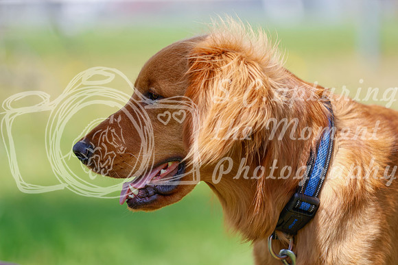 2025 - Chris - Blue Sky Classic - Sunday, May 18th 38484