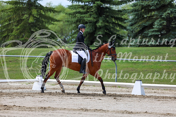 2025 - Dressage Festival - Saturday July 5th - 07305