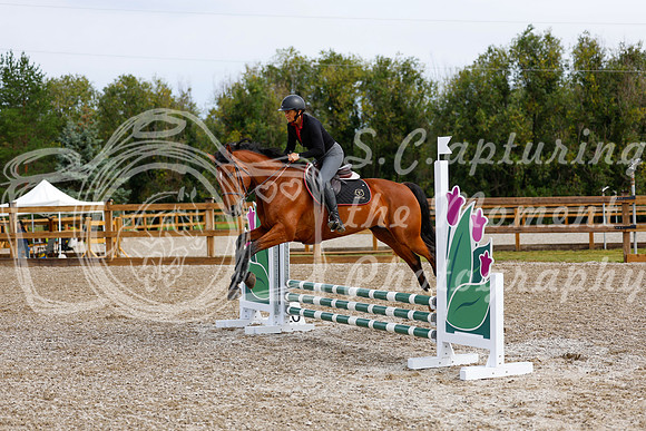 2025 - Haylee - Picco Horse Show - Friay July 25th 00641