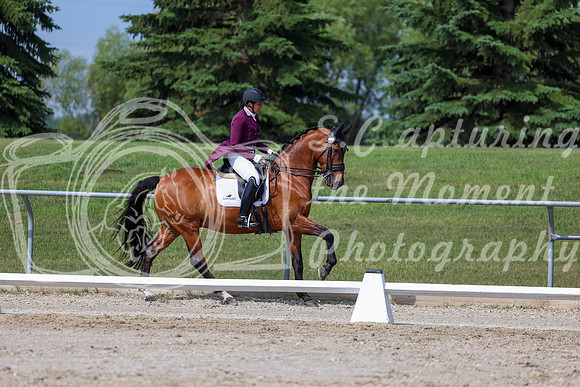 2025 - Dressage Festival - Saturday July 5th - 03087