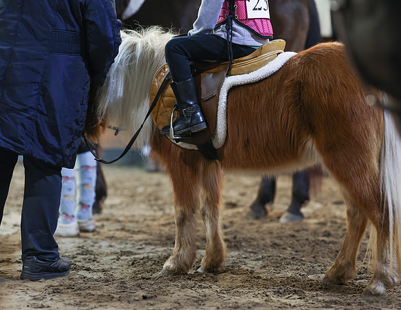 2025 - HJ Schooling - Saturday March 22nd - 1694