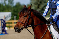 2025 - Haylee - Picco Horse Show - Thursday July 24th 00544