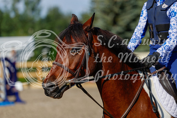 2025 - Haylee - Picco Horse Show - Thursday July 24th 00544