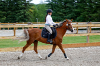 2025 - Haylee - Picco Horse Show - Friay July 25th 01309