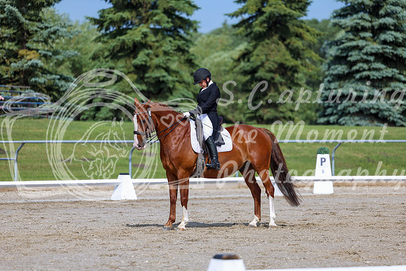 2025 - Dressage Festival - Saturday July 5th - 02608