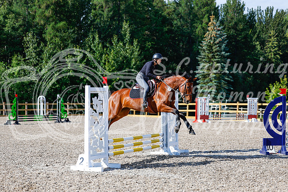 2025 - Haylee - Picco Horse Show - Thursday July 24th 00866
