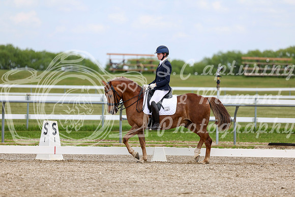 2025 - Dressage Festival - Saturday July 5th - 11834