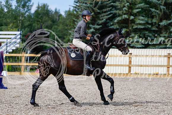 2025 - Haylee - Picco Horse Show - Thursday July 24th 01782
