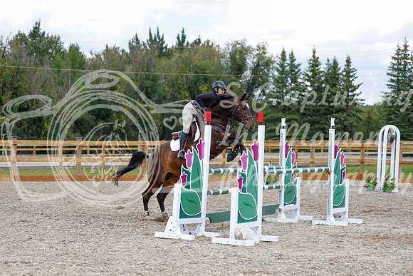 2025 - Haylee - Picco Horse Show - Saturday July 26th 07589