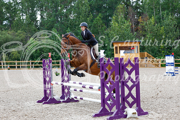 2025 - Haylee - Picco Horse Show - Saturday July 26th 04248