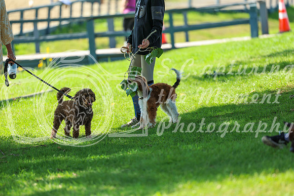 2025 - Shea - Rocky Mountain Classic I - Wednesday August 6th - 02258